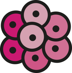 Morula-favicon-rose-final